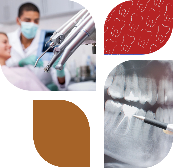 Mendota Dental Associates